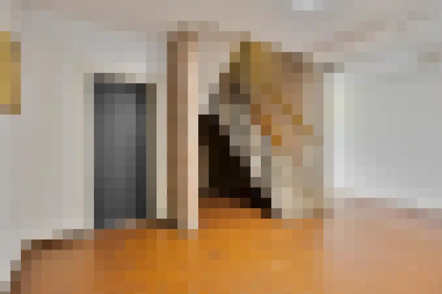 Julianastraat 40 Uden thumbnail 29