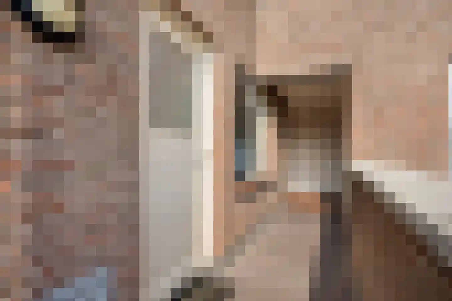 Julianastraat 40 Uden thumbnail 7