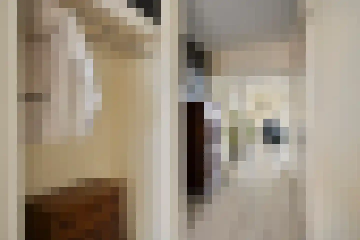 Julianastraat 40 Uden thumbnail 8