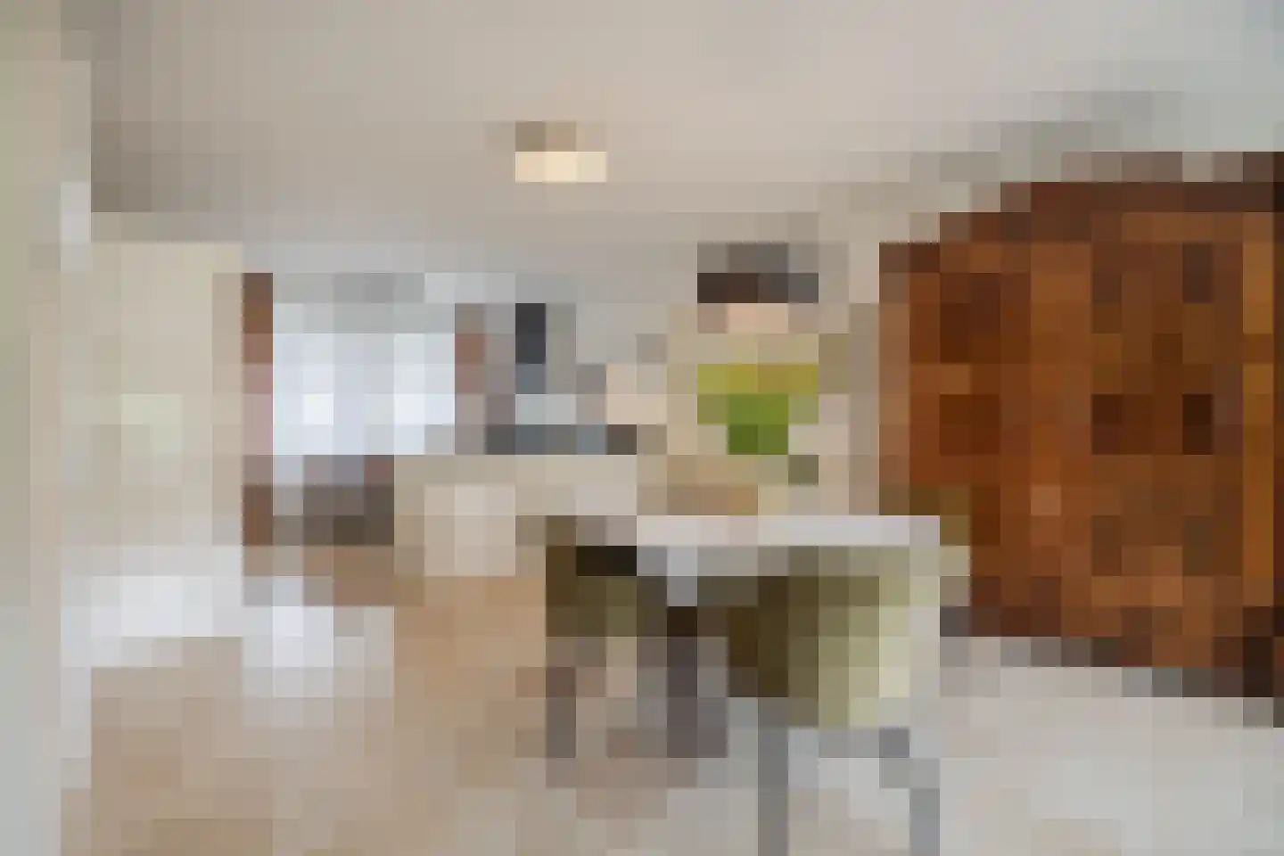 Julianastraat 42 C Rijen thumbnail 19