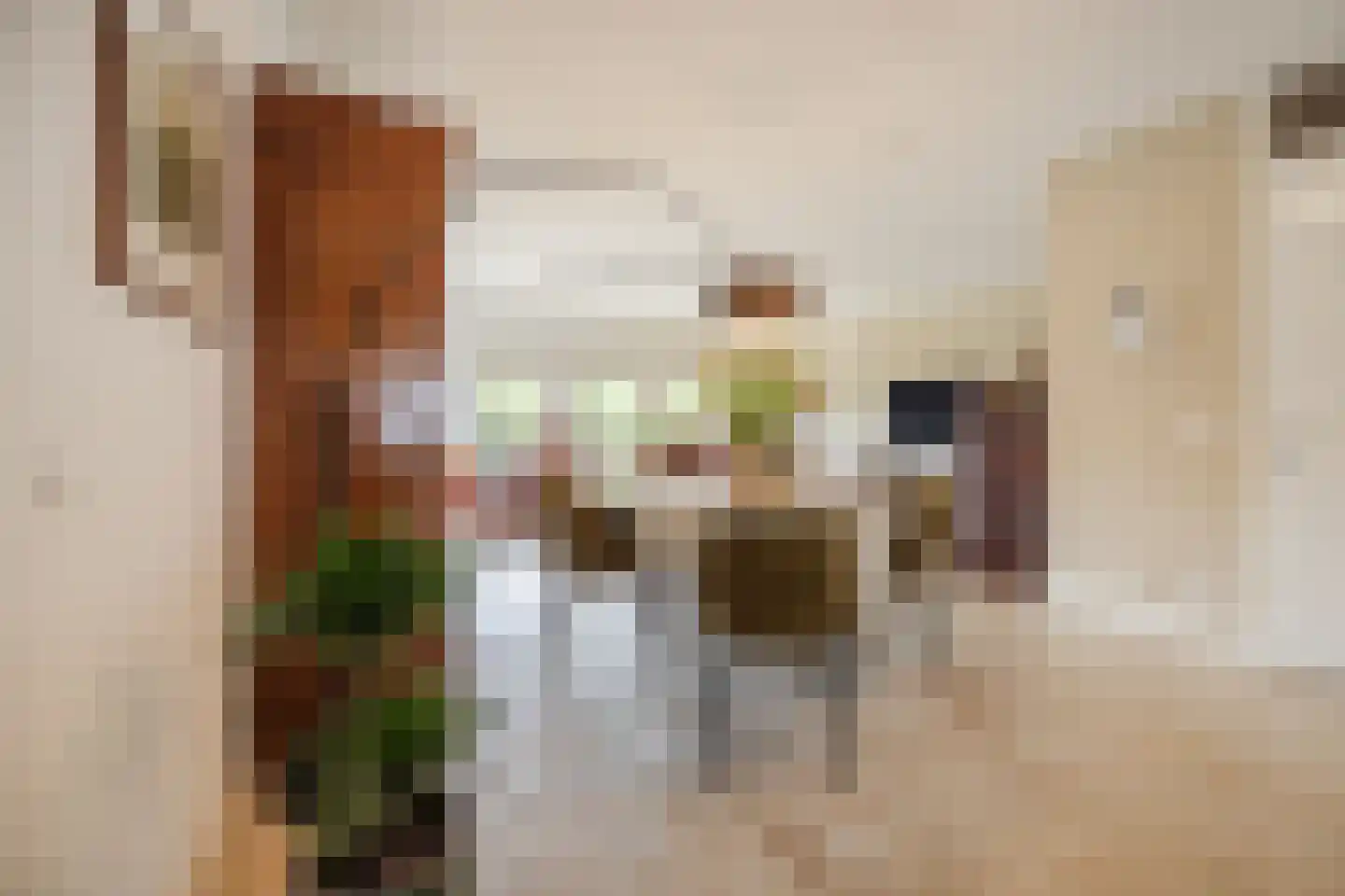 Julianastraat 42 C Rijen thumbnail 21