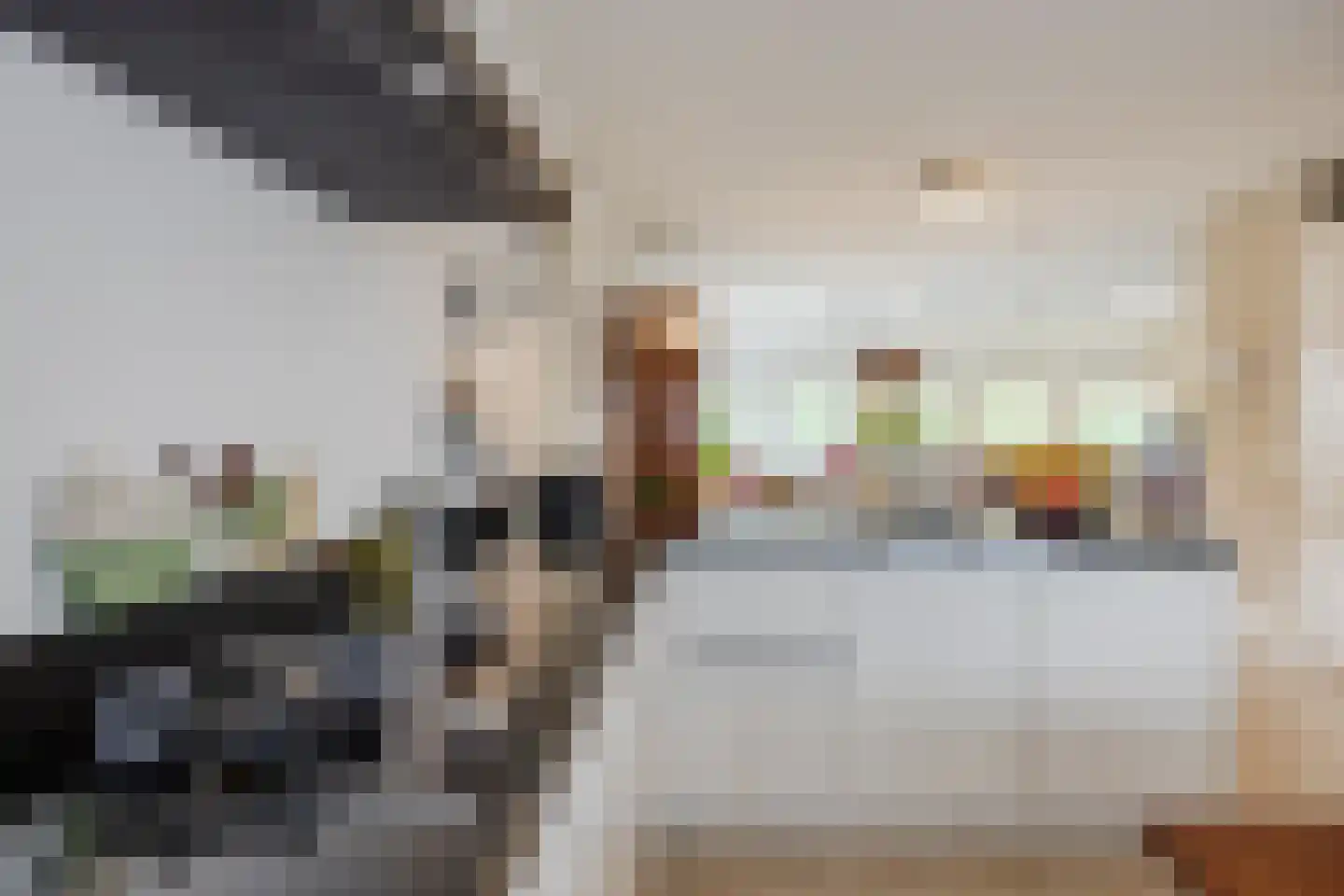 Julianastraat 42 C Rijen thumbnail 25
