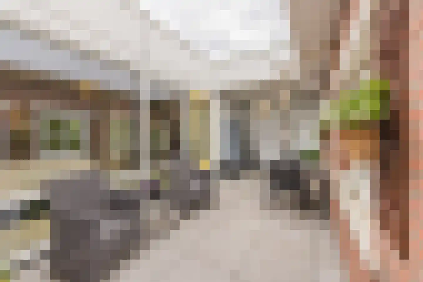 Julianastraat 42 C Rijen thumbnail 32