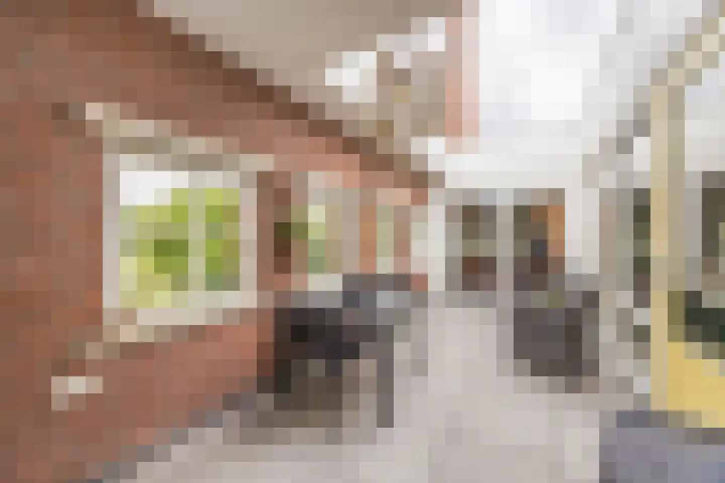 Julianastraat 42 C Rijen thumbnail 33