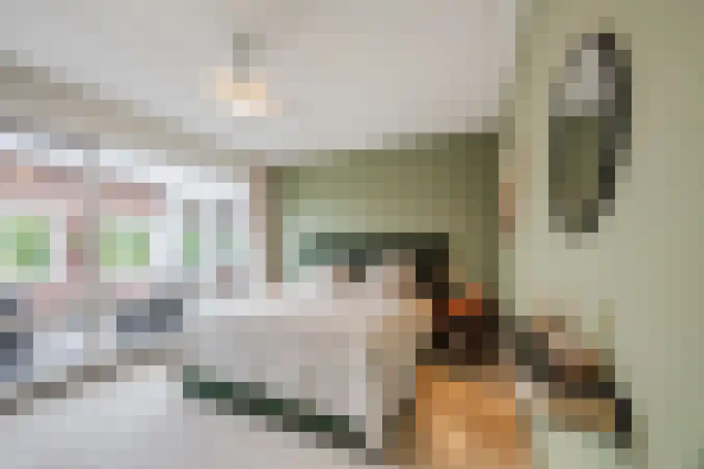 Julianastraat 42 C Rijen thumbnail 4