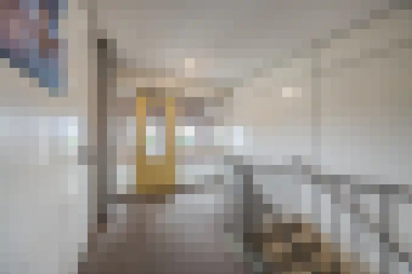 Julianastraat 42 C Rijen thumbnail 9