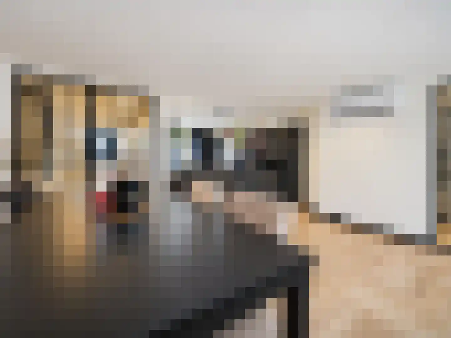 Julianastraat 42 Hoeven thumbnail 17