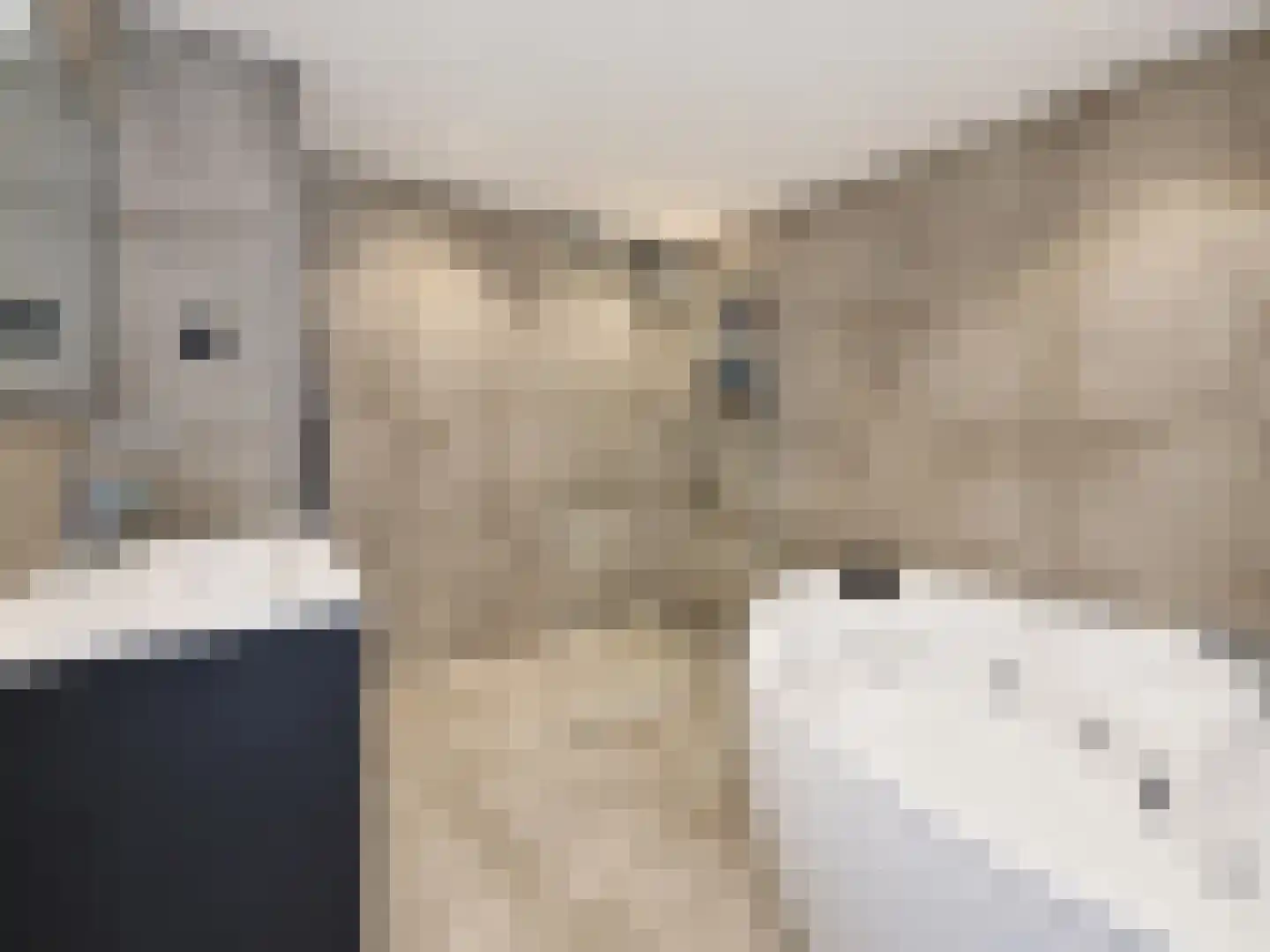 Julianastraat 42 Hoeven thumbnail 23