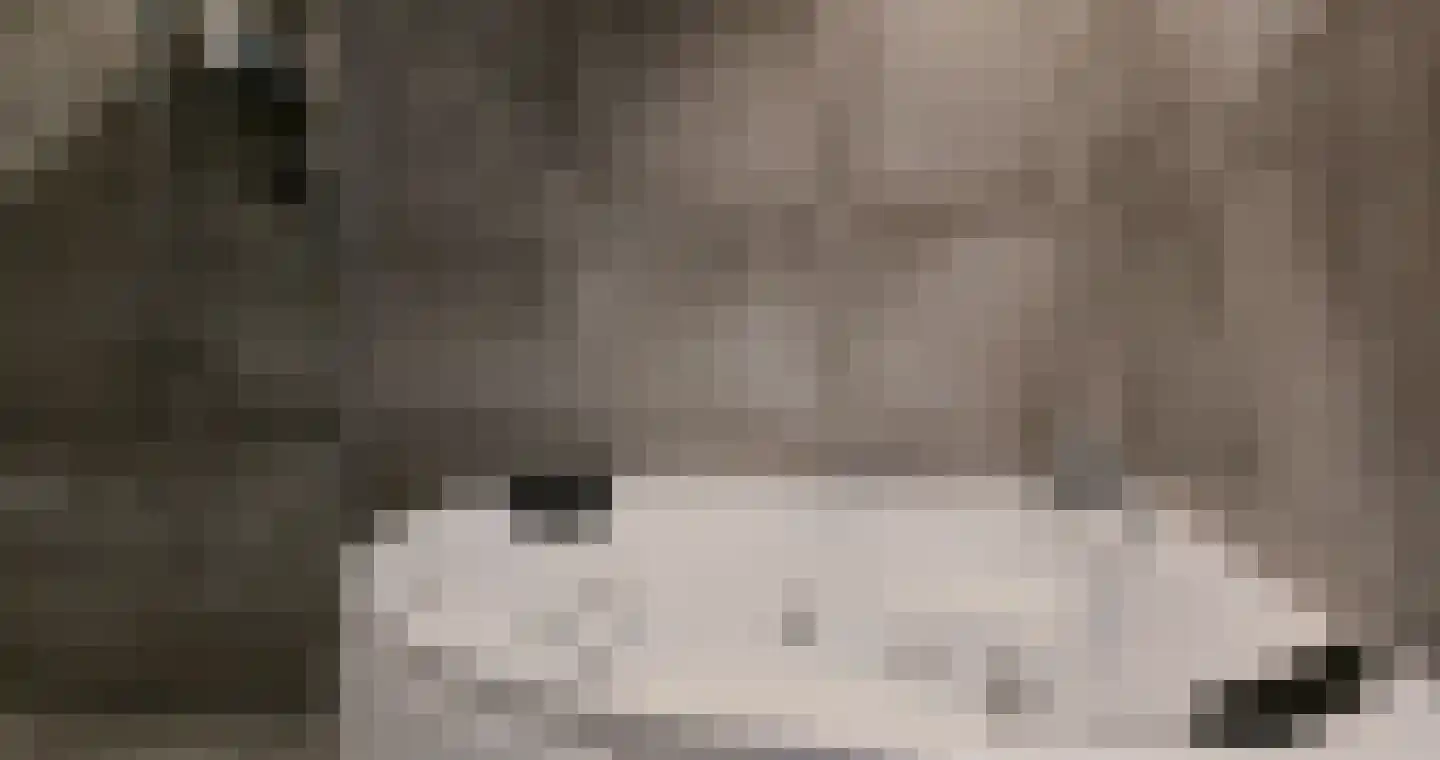 Julianastraat 42 Hoeven thumbnail 25