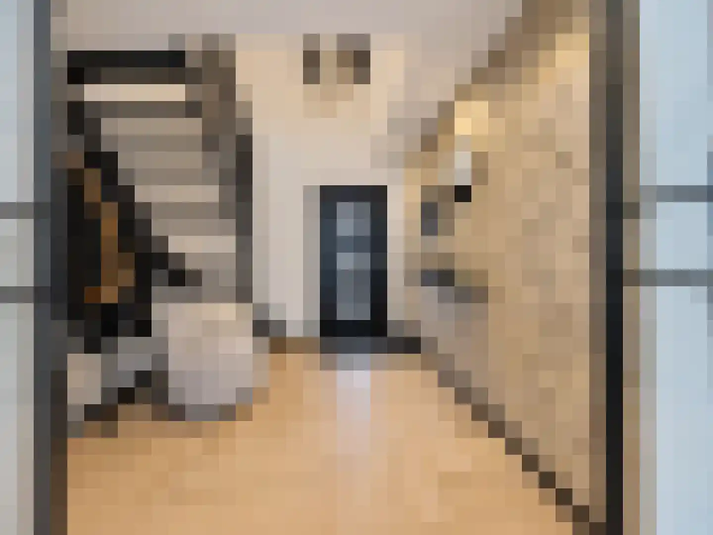 Julianastraat 42 Hoeven thumbnail 30