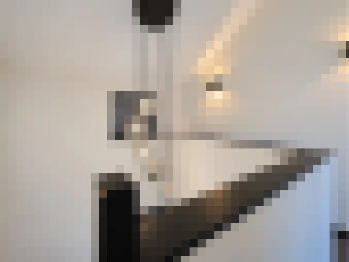 Julianastraat 42 Hoeven thumbnail 31