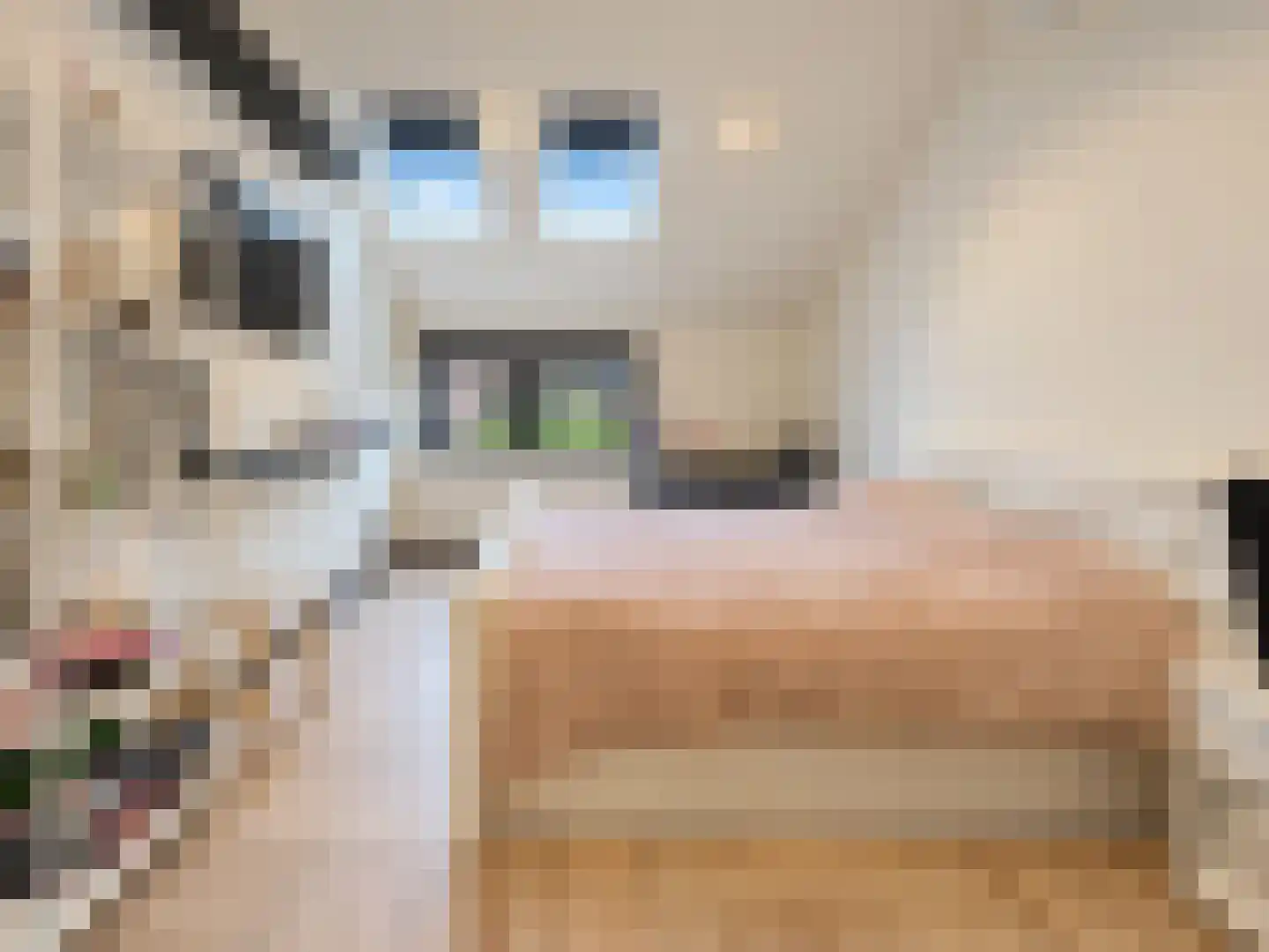 Julianastraat 42 Hoeven thumbnail 35