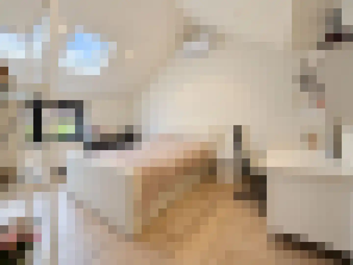 Julianastraat 42 Hoeven thumbnail 37