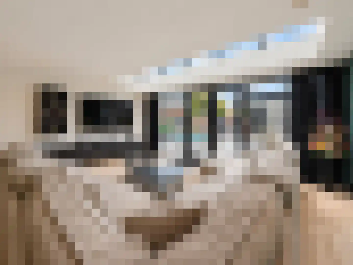 Julianastraat 42 Hoeven thumbnail 4