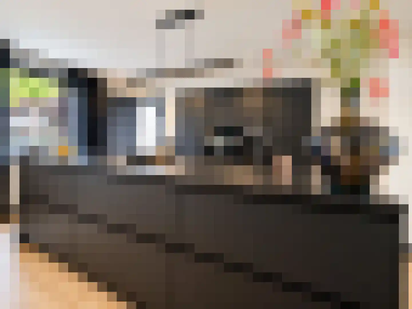 Julianastraat 42 Hoeven thumbnail 5