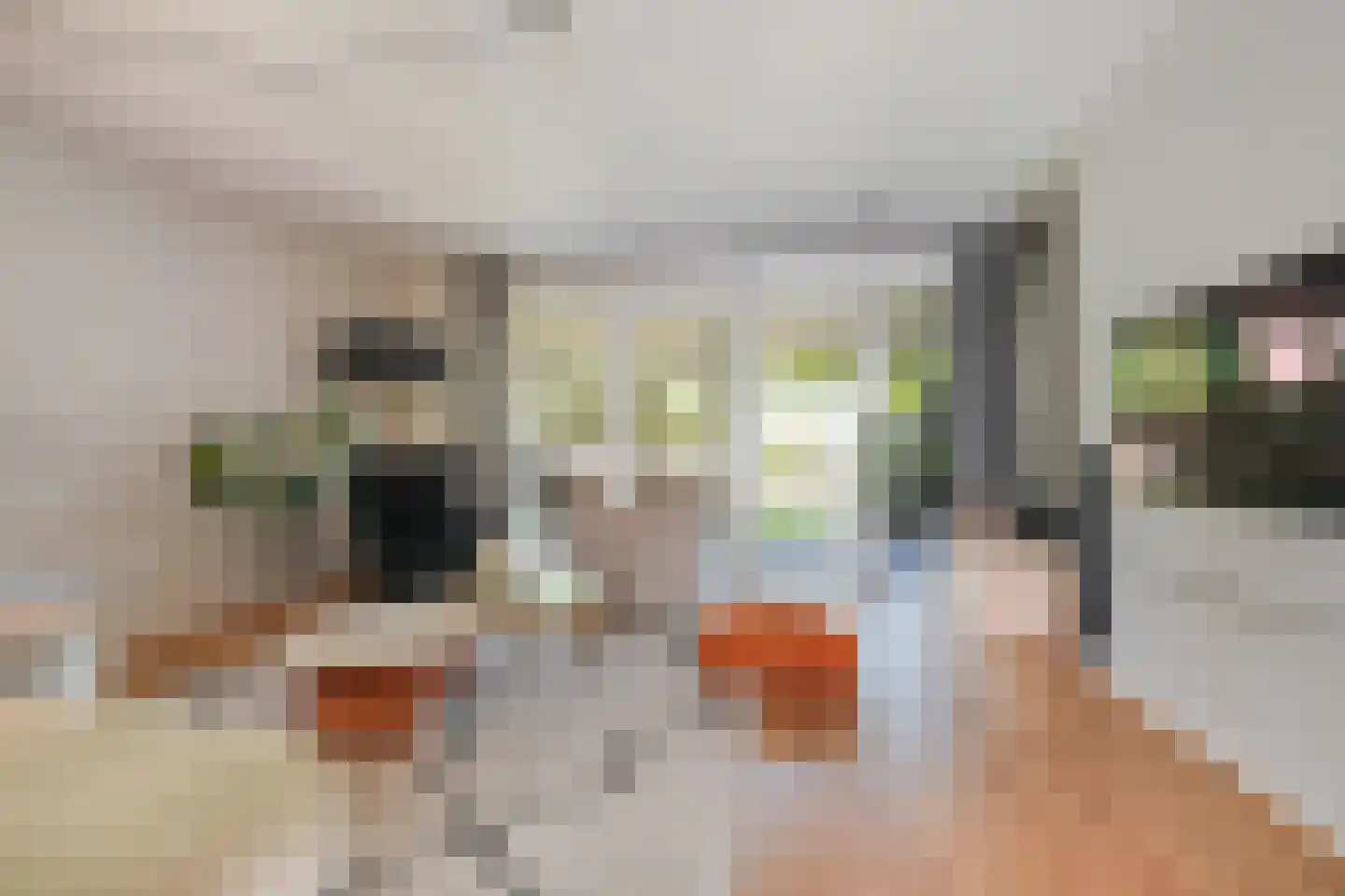 Julianastraat 42 Kaatsheuvel thumbnail 14