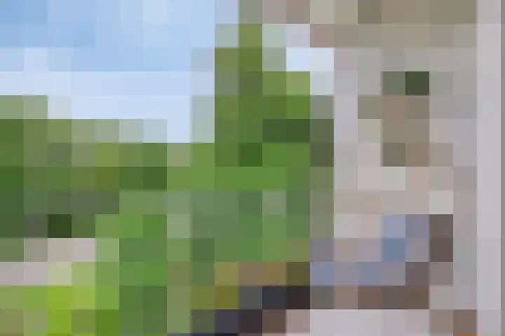 Julianastraat 42 Leiderdorp thumbnail 11
