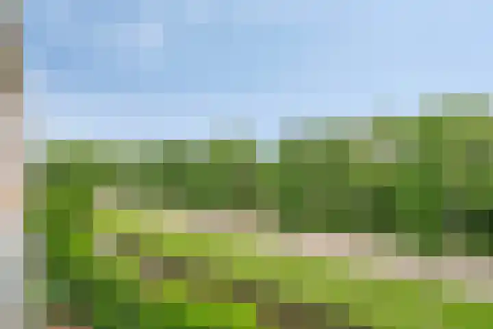 Julianastraat 42 Leiderdorp thumbnail 12