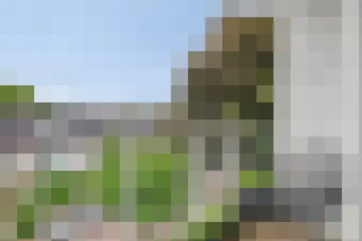 Julianastraat 42 Leiderdorp thumbnail 13