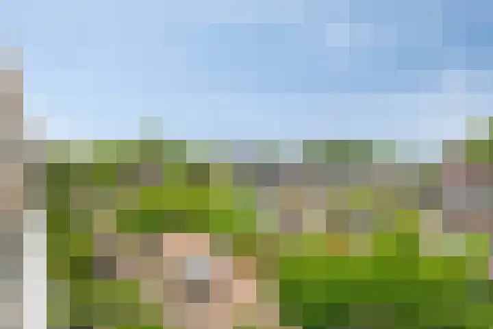 Julianastraat 42 Leiderdorp thumbnail 14
