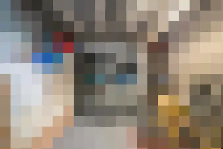 Julianastraat 42 Leiderdorp thumbnail 21