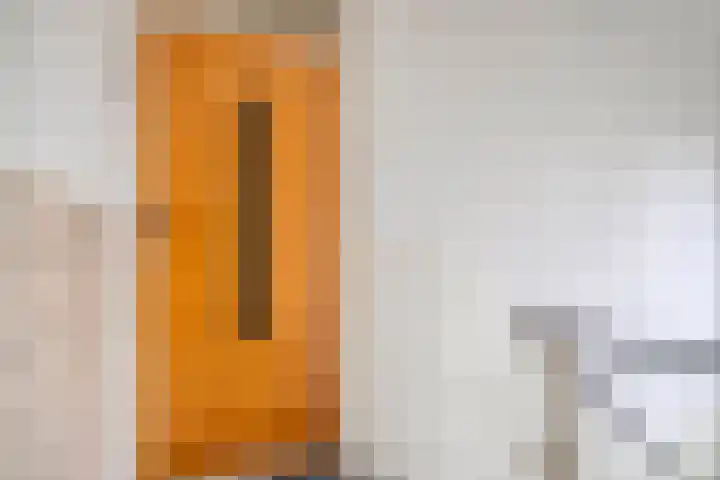 Julianastraat 42 Leiderdorp thumbnail 22