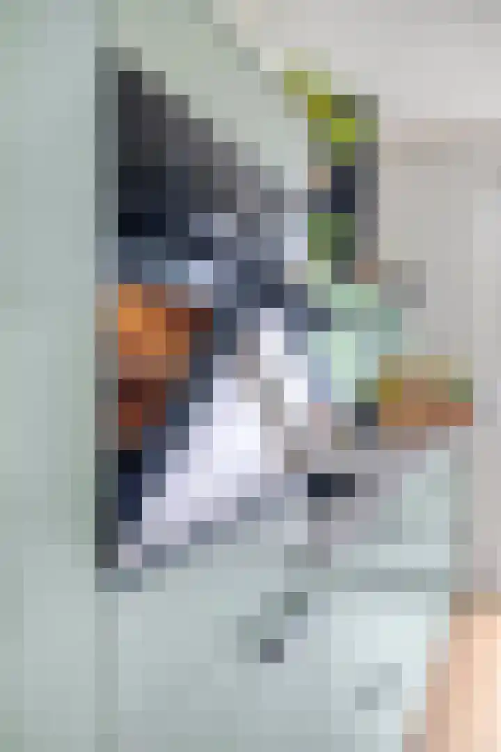 Julianastraat 42 Leiderdorp thumbnail 31