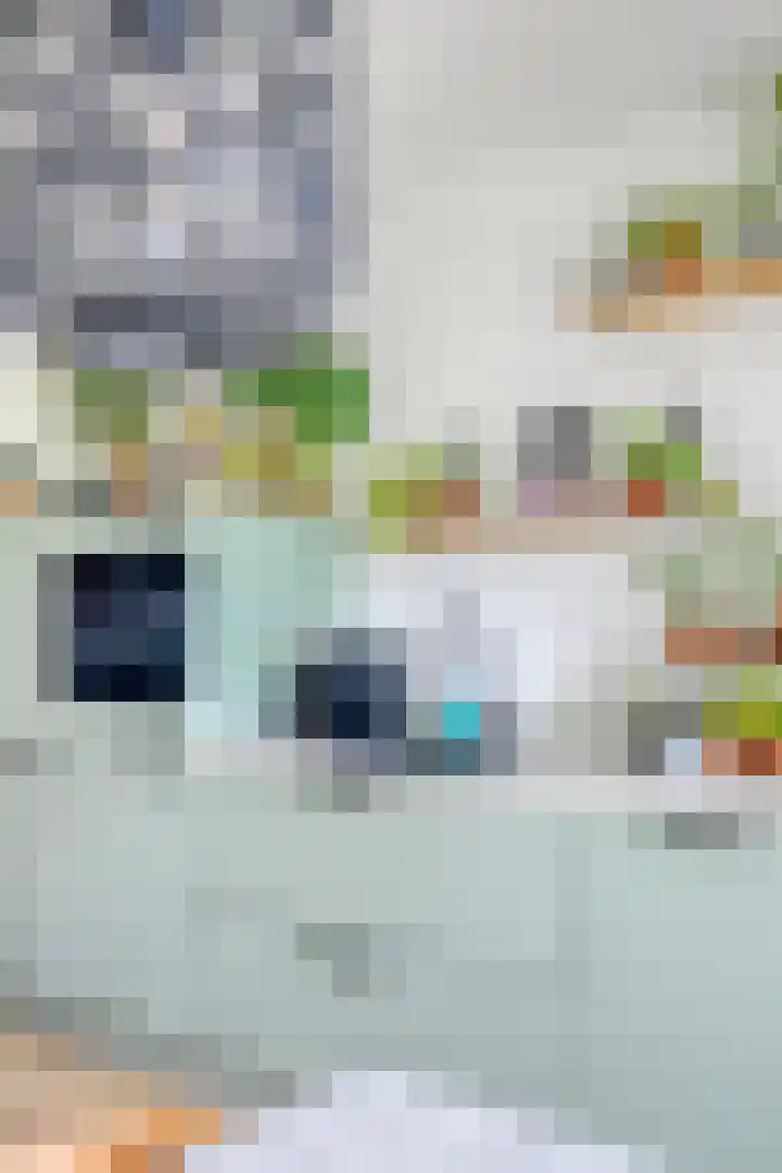 Julianastraat 42 Leiderdorp thumbnail 32