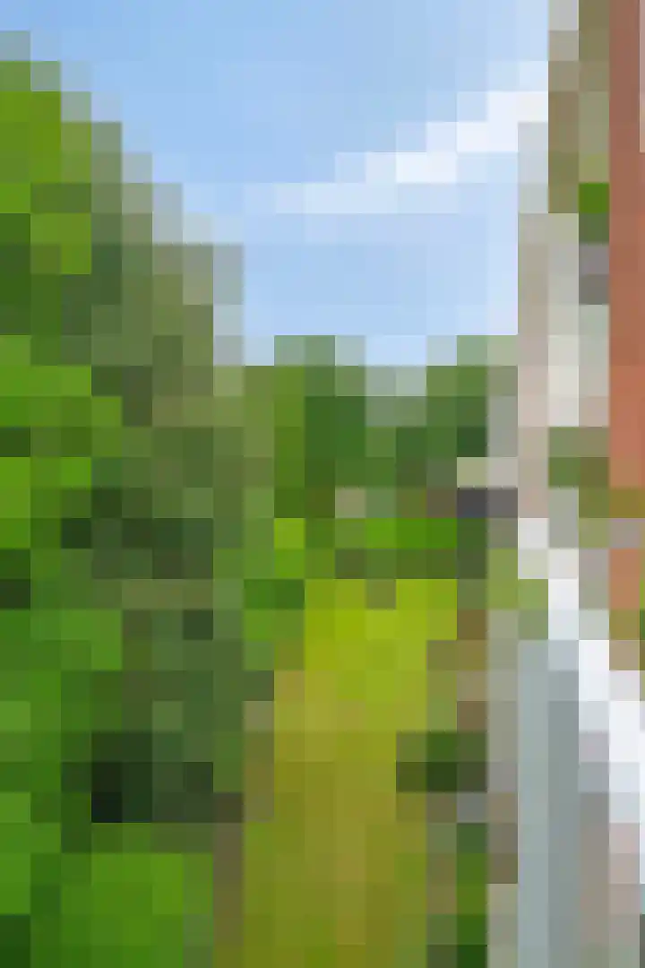 Julianastraat 42 Leiderdorp thumbnail 33