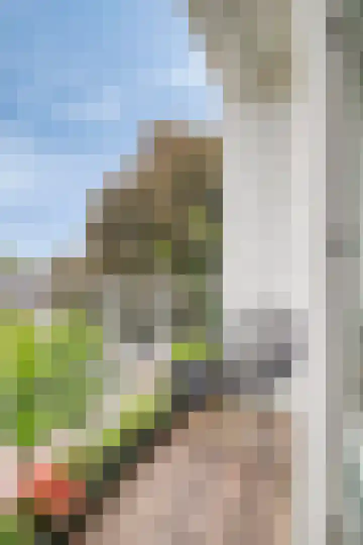 Julianastraat 42 Leiderdorp thumbnail 34