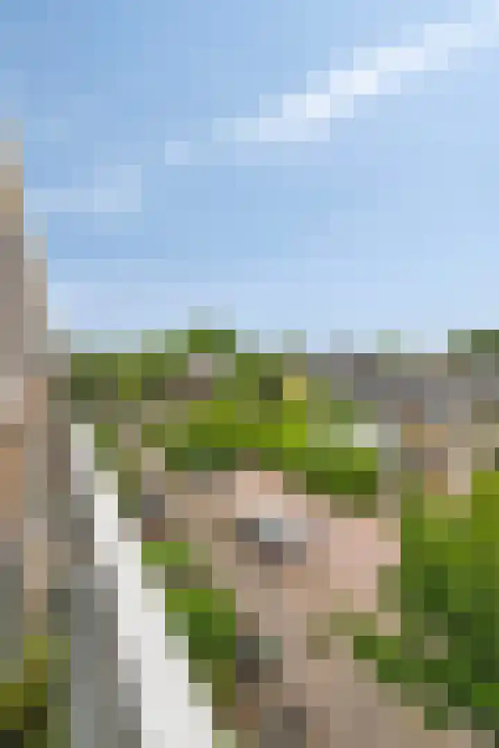 Julianastraat 42 Leiderdorp thumbnail 35