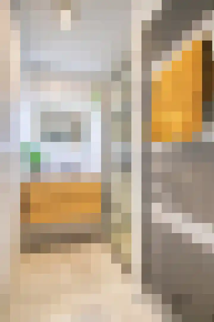 Julianastraat 42 Leiderdorp thumbnail 36