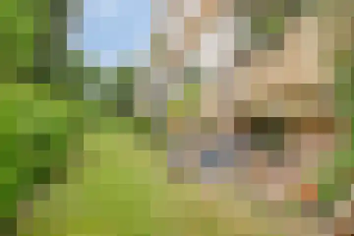 Julianastraat 42 Leiderdorp thumbnail 38