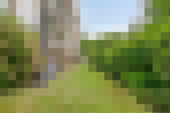 Julianastraat 42 Leiderdorp thumbnail 40