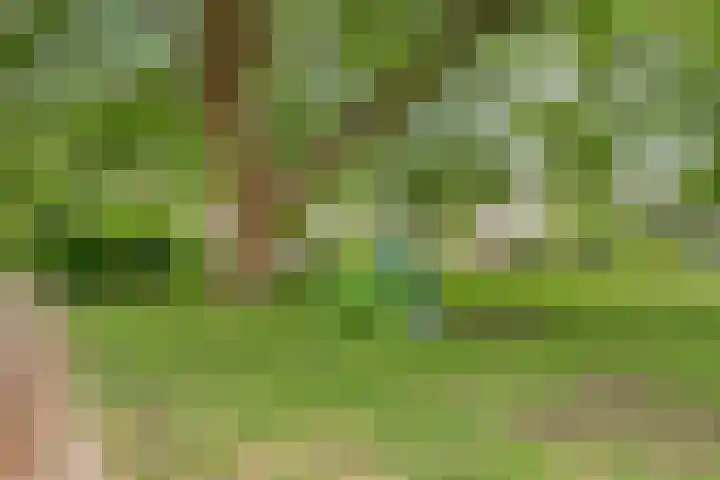 Julianastraat 42 Leiderdorp thumbnail 41