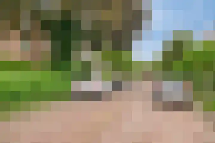 Julianastraat 42 Leiderdorp thumbnail 42