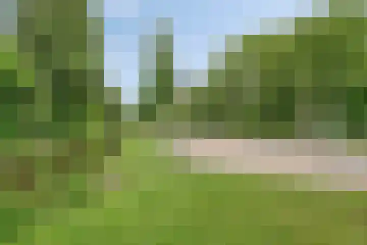 Julianastraat 42 Leiderdorp thumbnail 44
