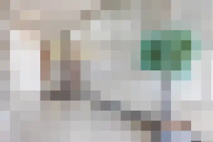Julianastraat 42 Rijen thumbnail 11