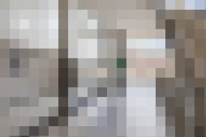 Julianastraat 42 Rijen thumbnail 12