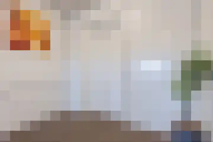 Julianastraat 42 Rijen thumbnail 15