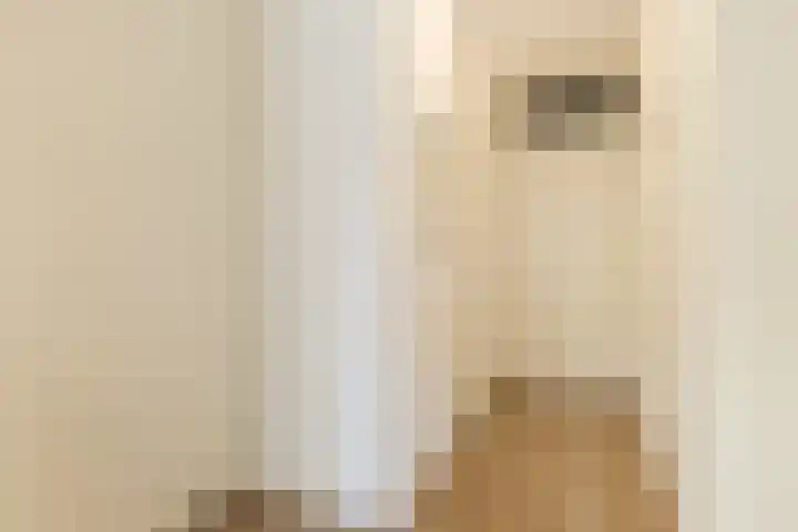 Julianastraat 42 Rijen thumbnail 18