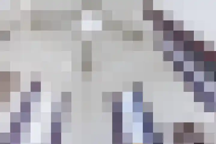 Julianastraat 42 Rijen thumbnail 29