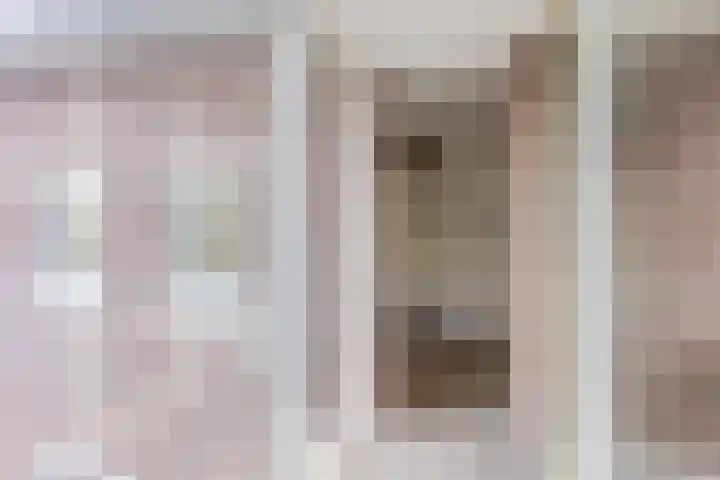Julianastraat 42 Rijen thumbnail 30