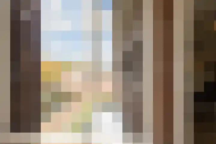 Julianastraat 42 Rijen thumbnail 32
