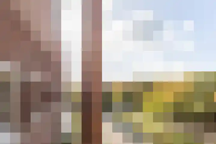 Julianastraat 42 Rijen thumbnail 33