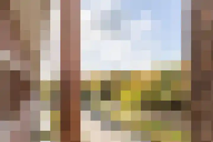 Julianastraat 42 Rijen thumbnail 34