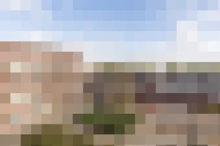 Julianastraat 42 Rijen thumbnail 35