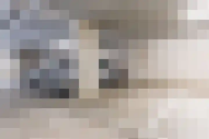 Julianastraat 42 Rijen thumbnail 36