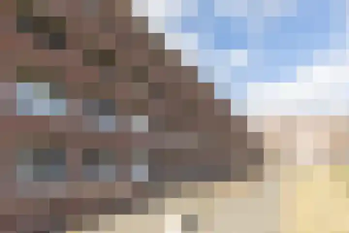 Julianastraat 42 Rijen thumbnail 39