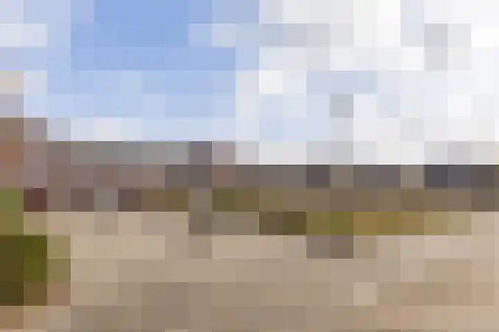 Julianastraat 42 Rijen thumbnail 40